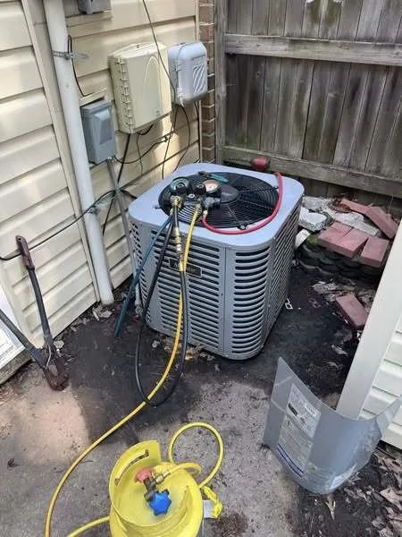 Slide of Red Vine Services