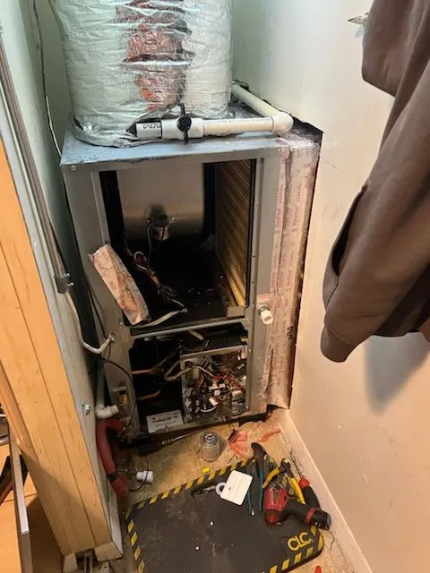 Slide of Red Vine Services