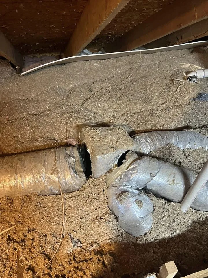 Slide of Red Vine Services