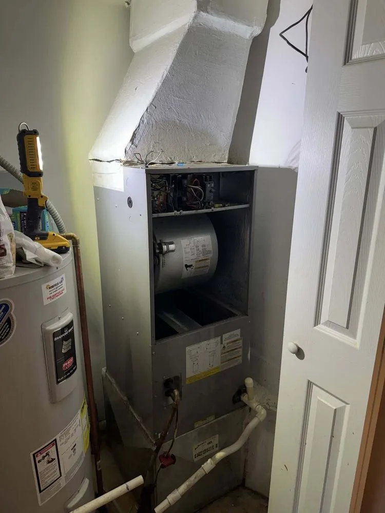 Slide of Red Vine Services