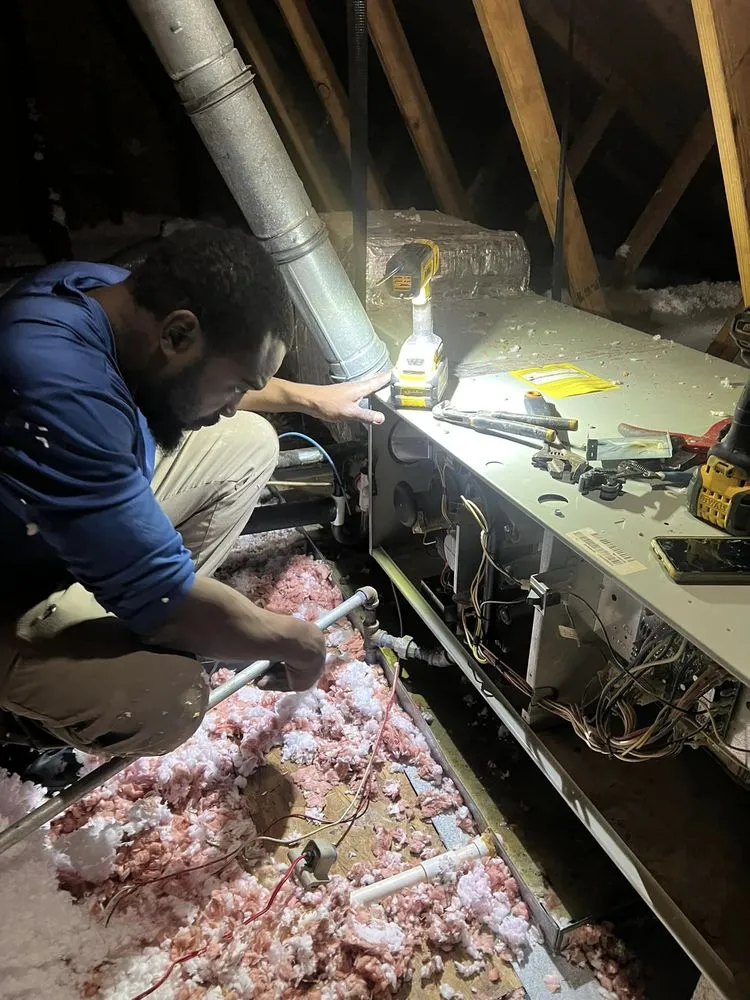 Slide of Red Vine Services