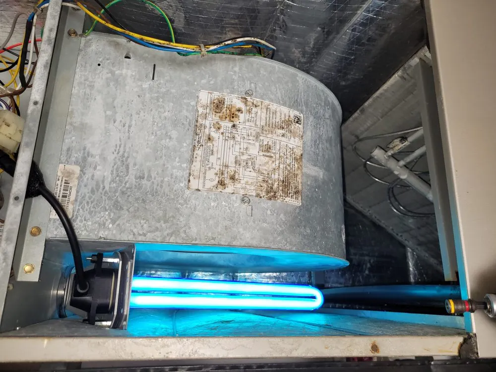 Certified HVAC maintenance in Land O' Lakes, FL by Red White & Cool Air