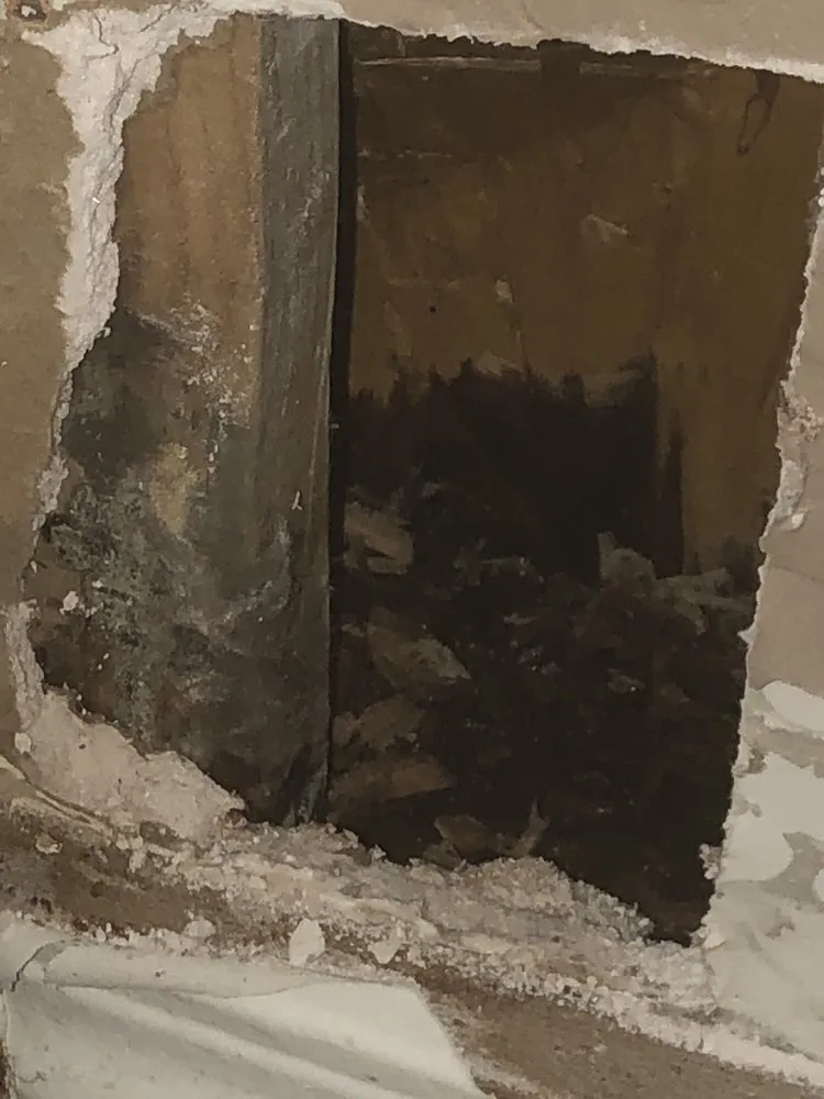 Slide of Reddi Services