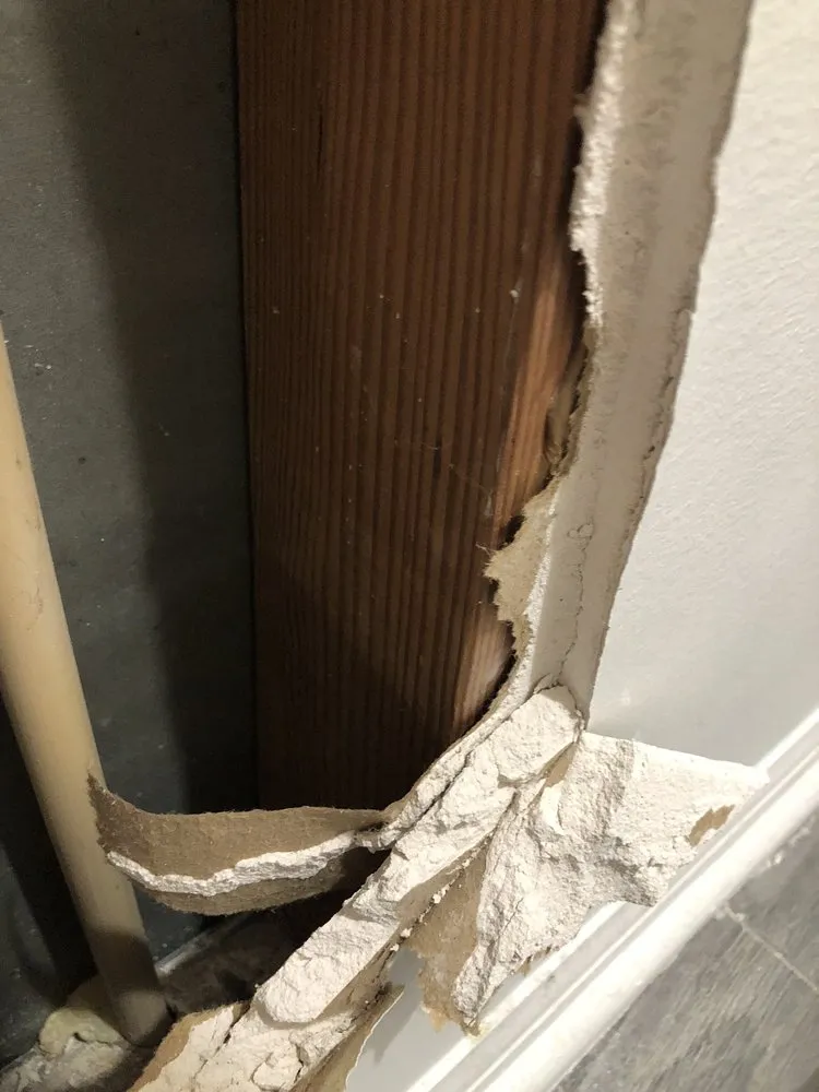 Slide of Reddi Services