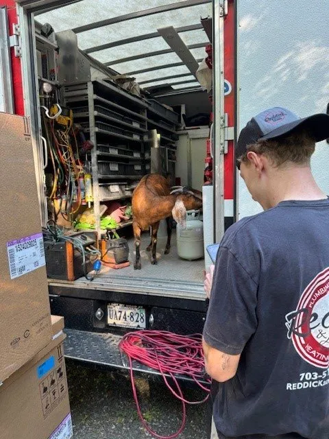 Slide of Reddick & Sons