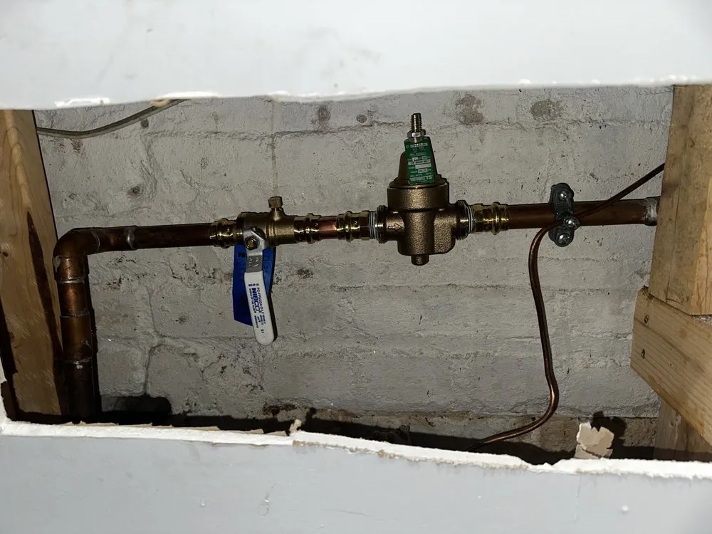 Slide of Redlabel Services