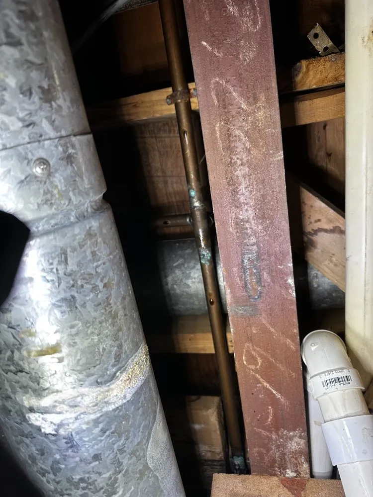 Slide of Redlabel Services