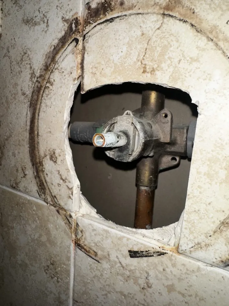 Slide of Redlabel Services