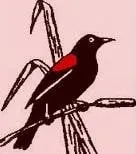 Slide of Redwing Heating & Air Conditioning