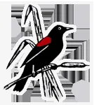 Redwing Heating & Air Conditioning Logo