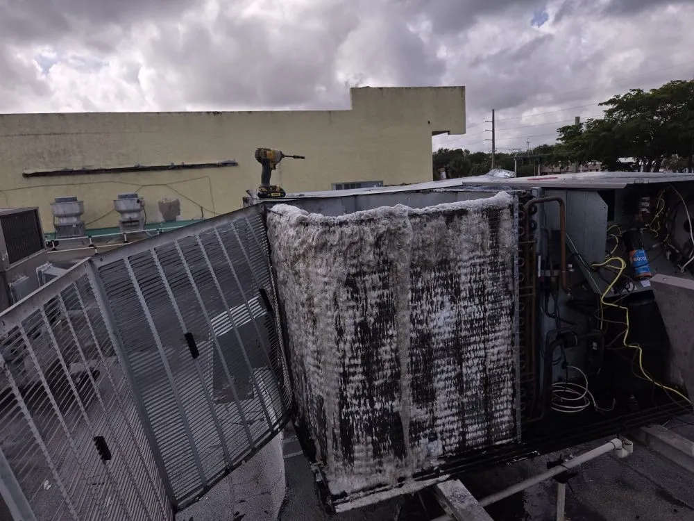 Slide of Redzer Services