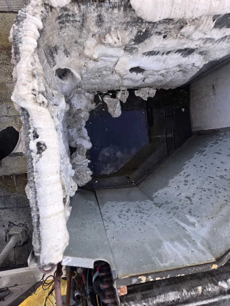 Slide of Redzer Services