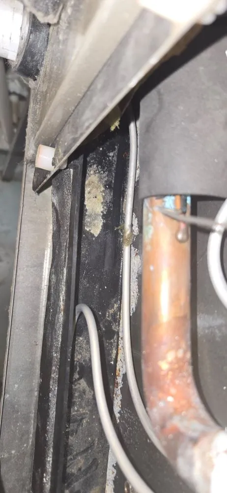 Slide of Redzer Services