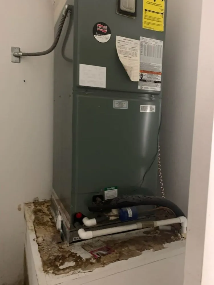 Slide of Redzer Services