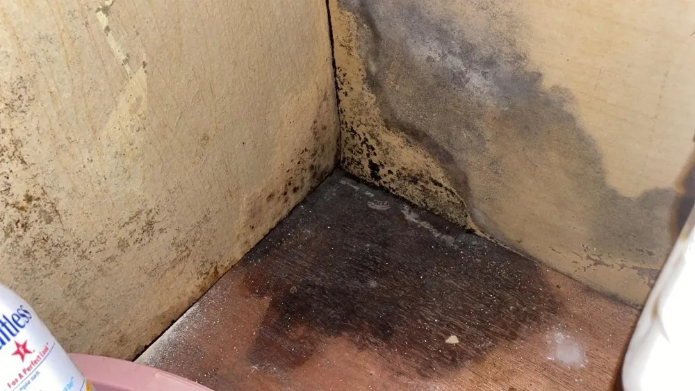 Slide of Redzer Services