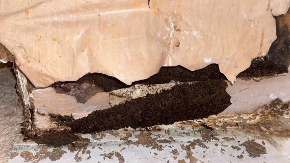 Slide of Redzer Services