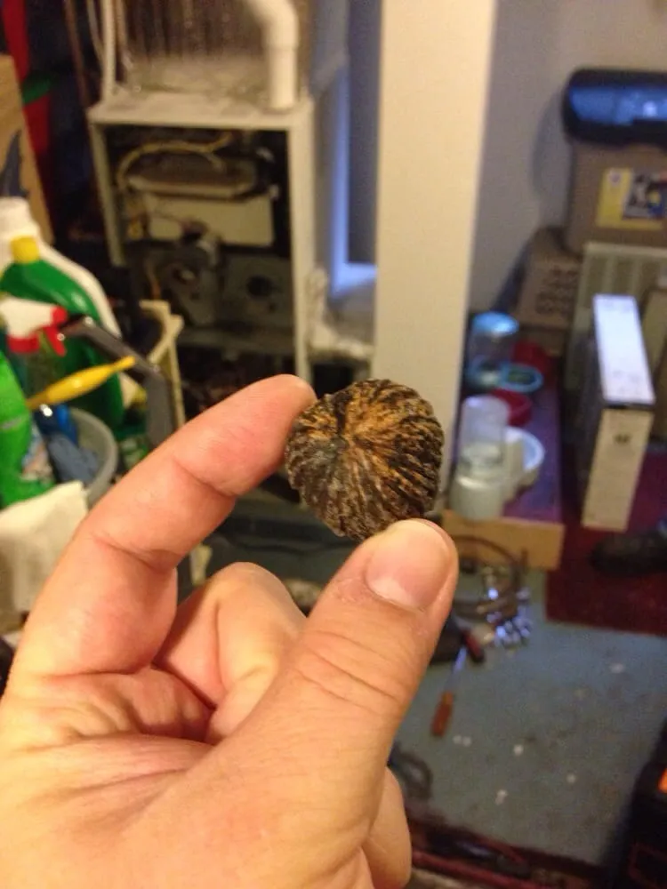 Slide of Reed Wright Heating Co.