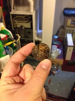 Reed Wright Heating Co. Logo