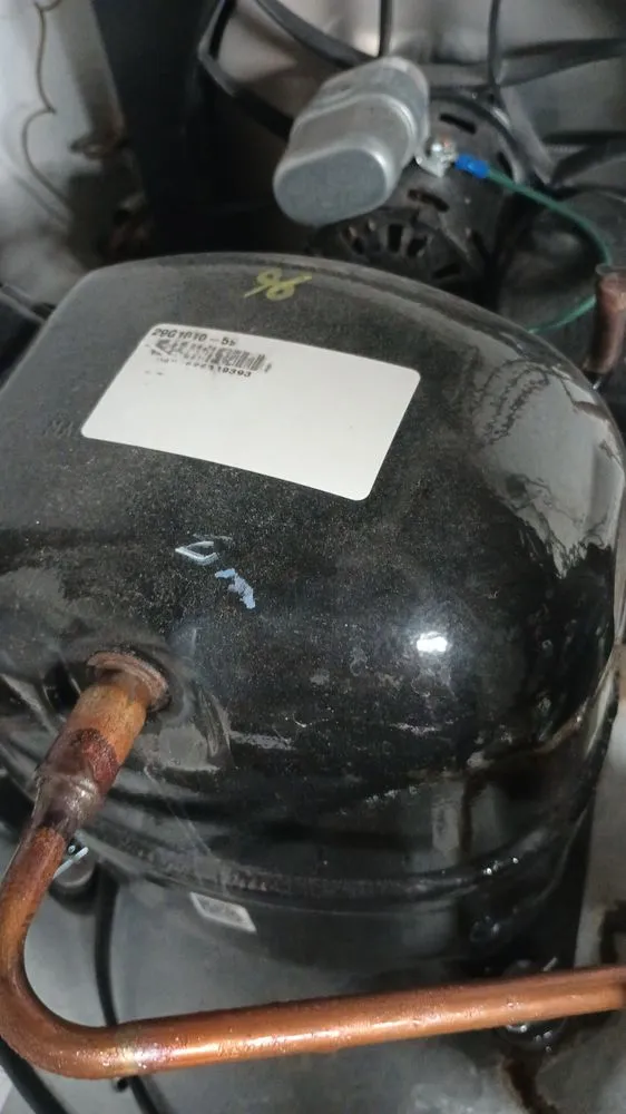 Slide of Refri Jaquez