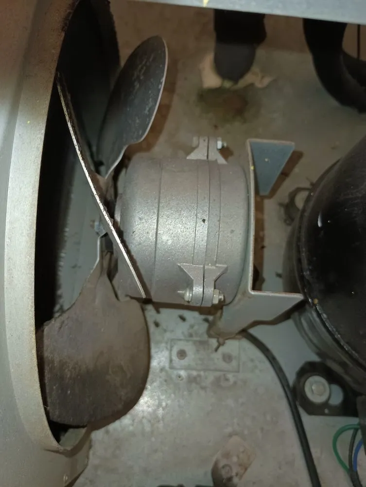 Slide of Refri Jaquez