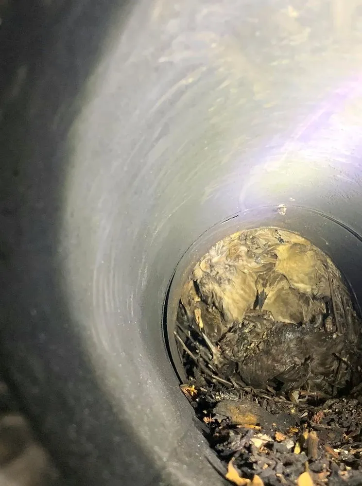 Slide of Regis Duct Cleaning