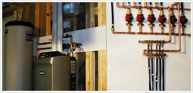 Slide of Reichert & Sons