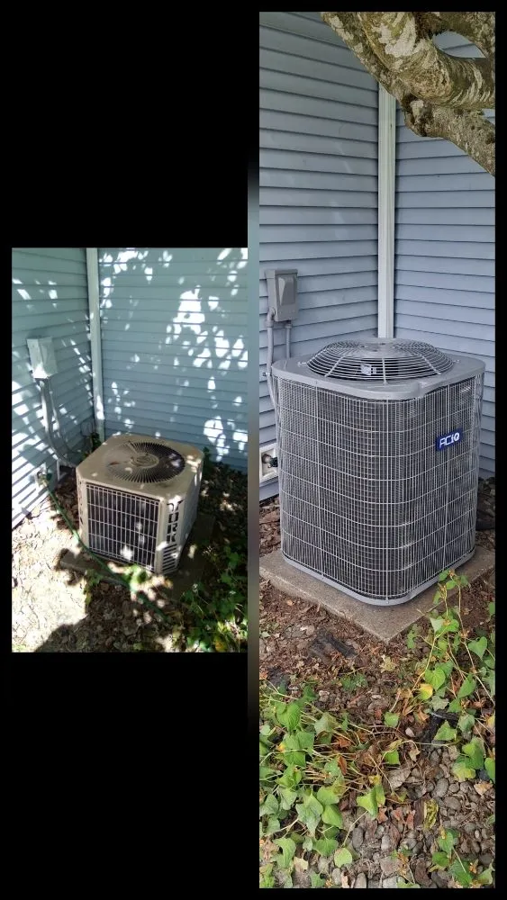 Slide of Reign City Comfort