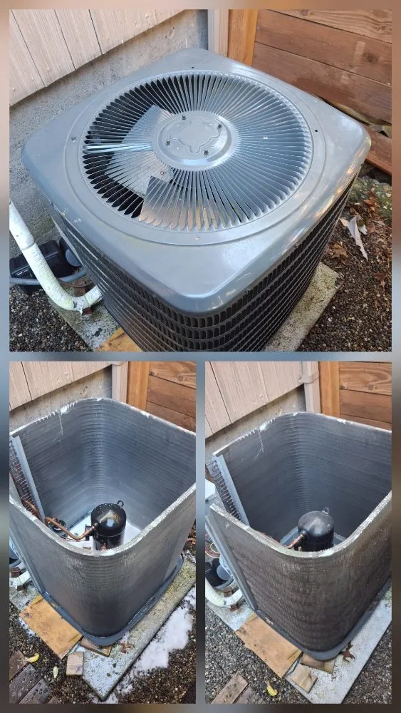 Slide of Reign City Comfort