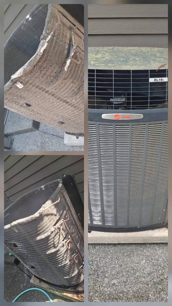 Slide of Reign City Comfort