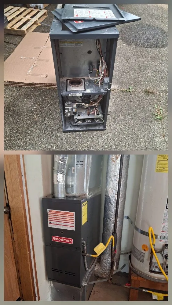 Slide of Reign City Comfort