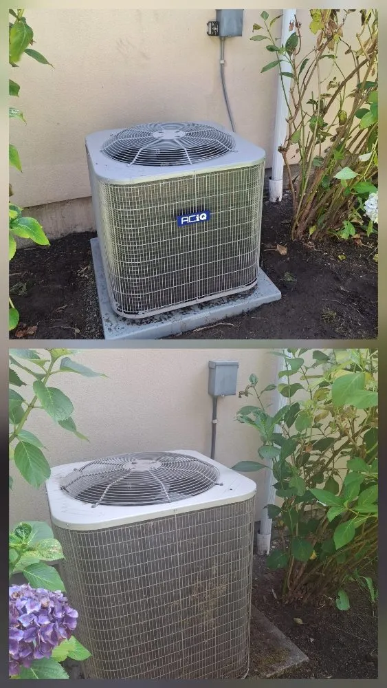 Slide of Reign City Comfort