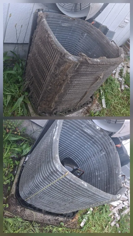 Slide of Reign City Comfort