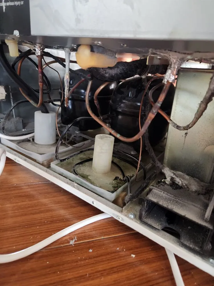 Slide of Reliable Service NYC