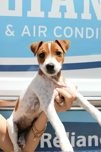 Slide of Reliance Heating and Air Conditioning