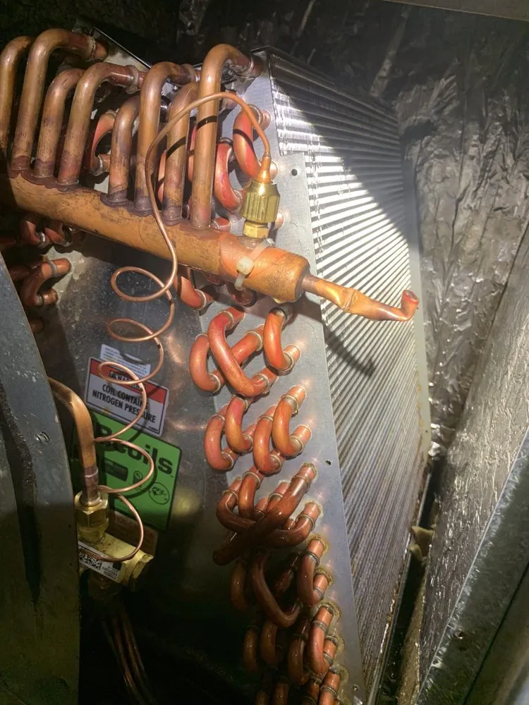 Slide of Relya Pro Air