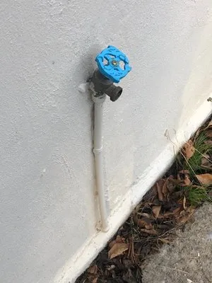 RENAISSANCE FIRE & ICE