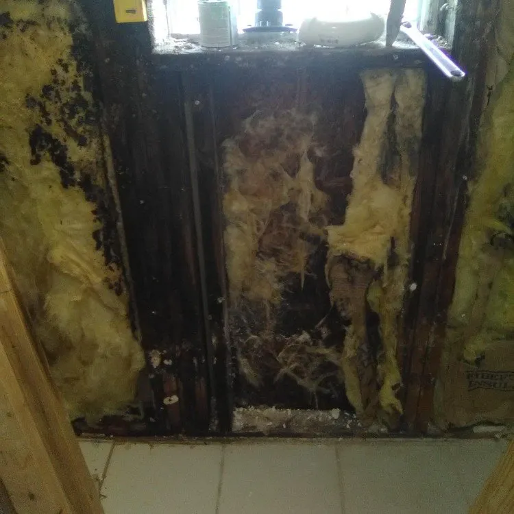 Slide of Rent A Husband Handyman Services