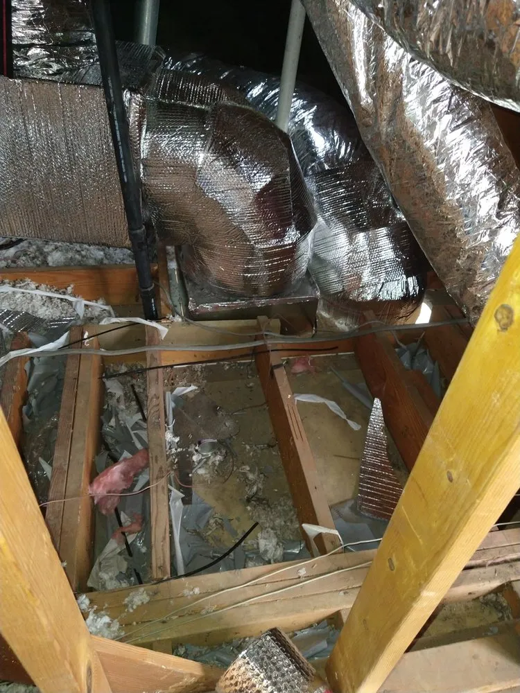 Slide of Repair Service Specialist