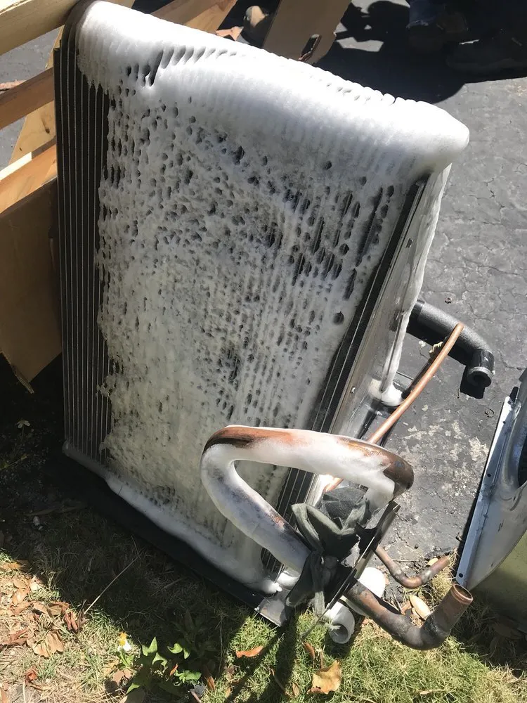 Slide of Ressie Giel Prof Service