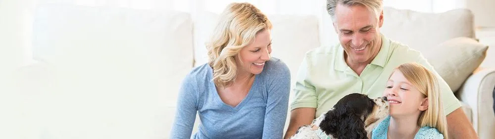 Slide of Restivo's Heating and Air Conditioning