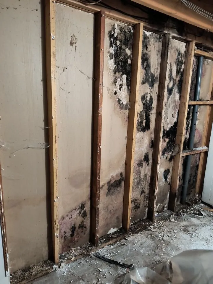 Slide of Restoration Ohio