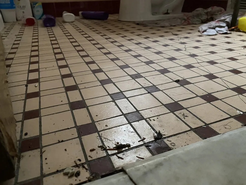 Slide of Rex & Son Inc Plumbing & Heating