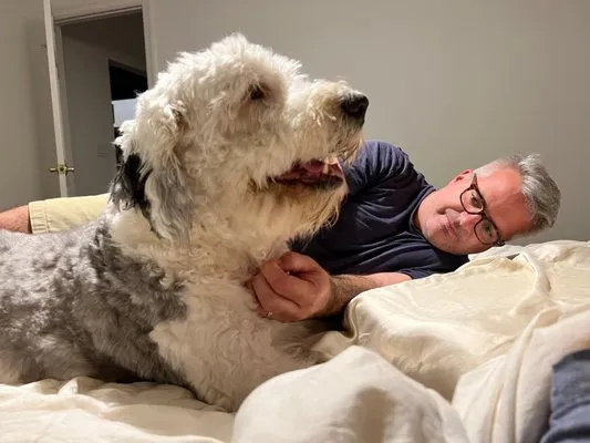 Reynold's Certified Air Conditioning Svc Logo