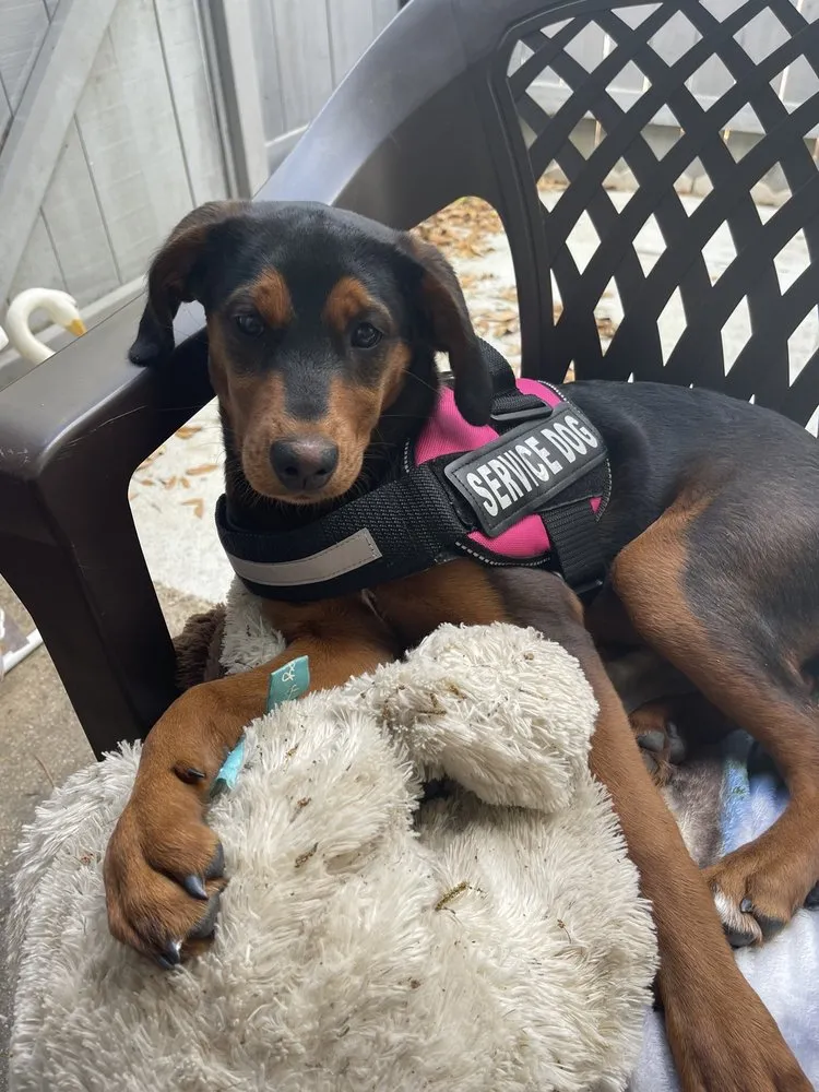 Slide of Rheem Manufacturing Company