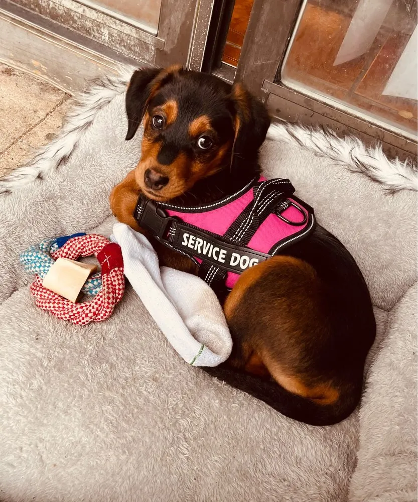 Slide of Rheem Manufacturing Company