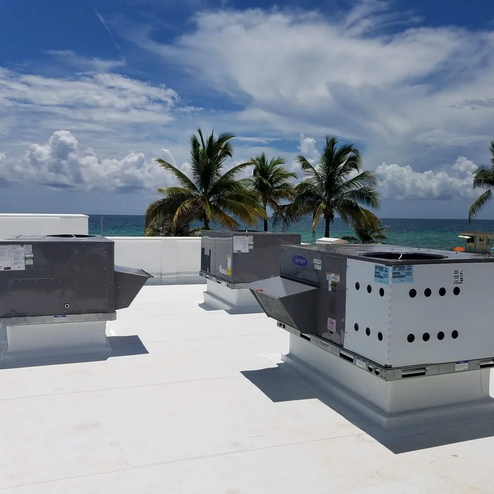 Slide of Richie Rich Services