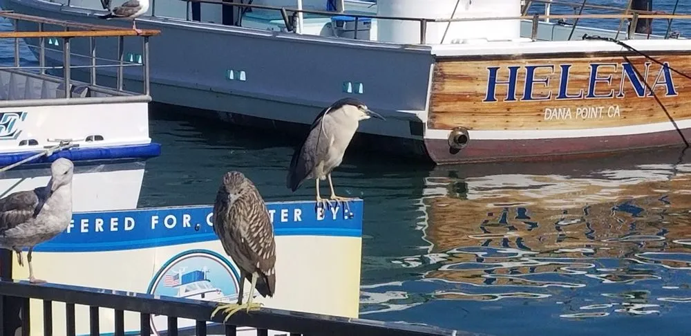 Slide of Rick's Heating and Air