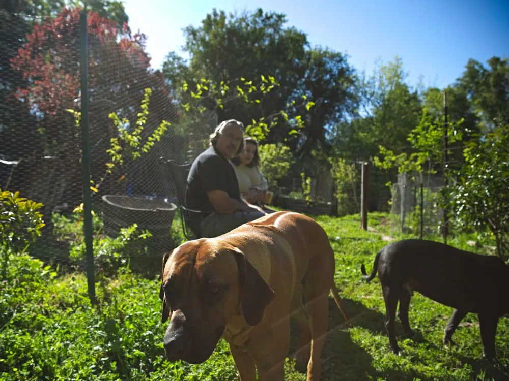 Slide of Ridgeback Mechanical