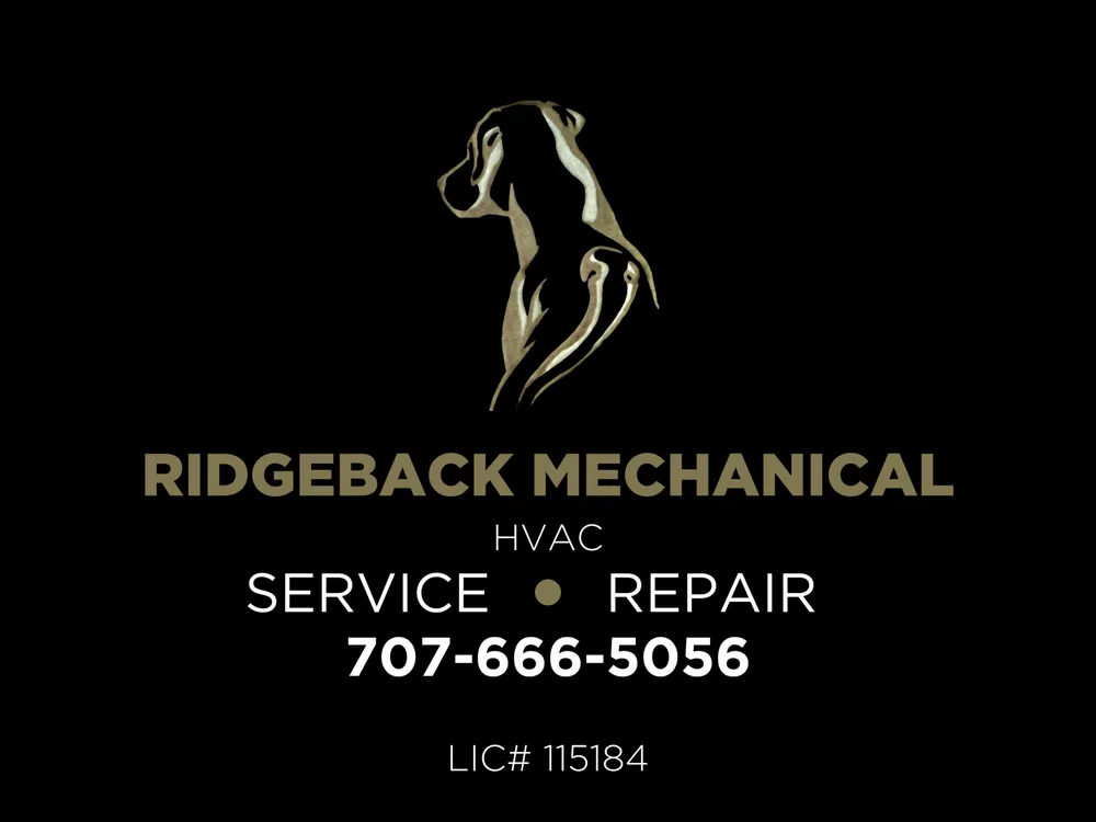 Slide of Ridgeback Mechanical