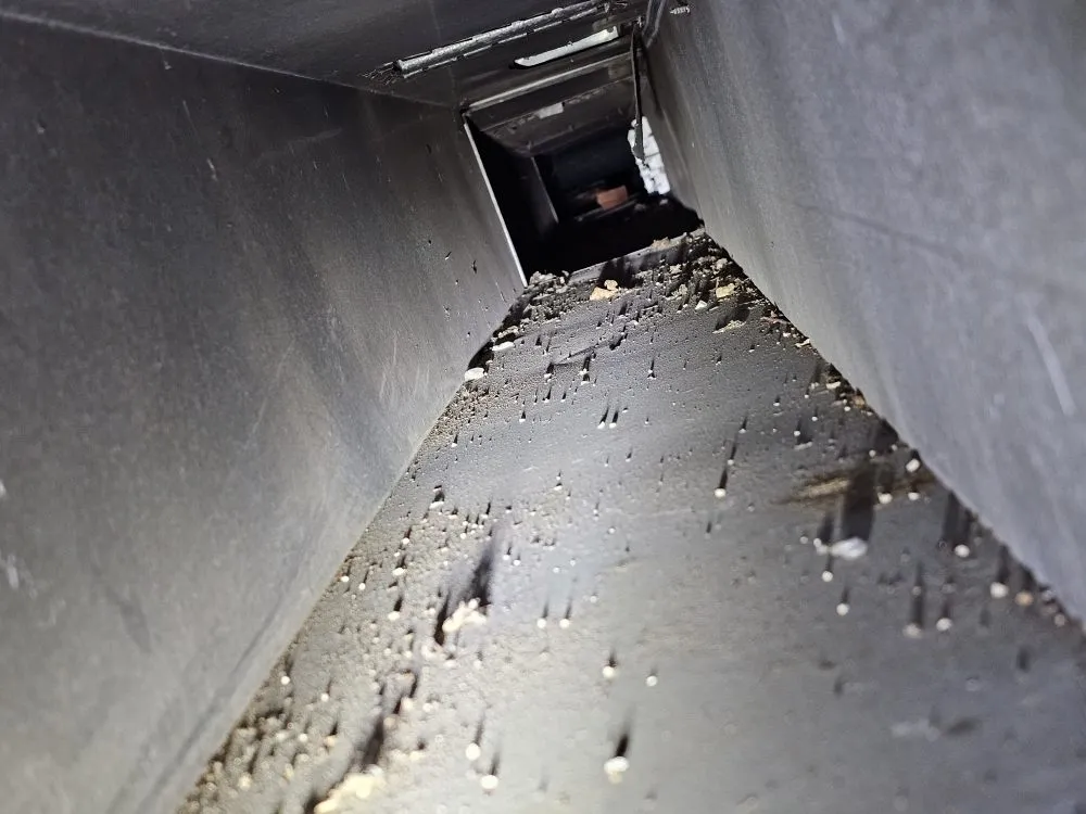 Slide of Right A Way Duct Cleaning